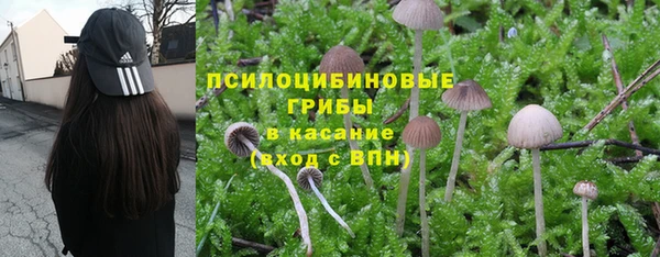 твердый Беломорск
